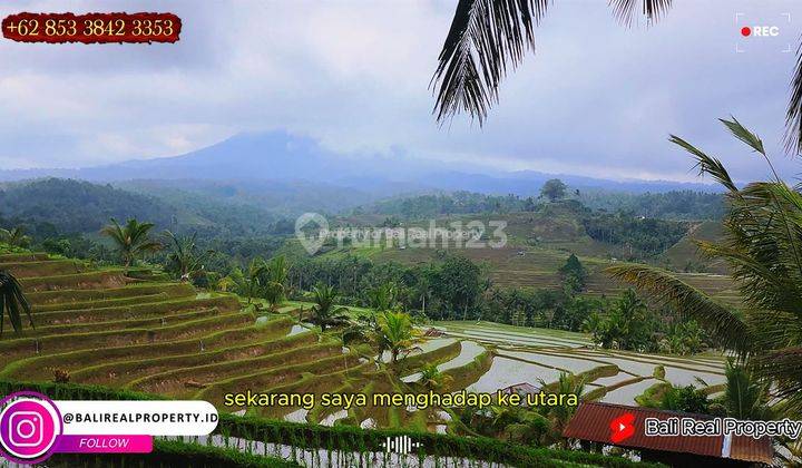 Strategis 85 Are Dekat Belimbing Rice Terrace di Pupuan Tabanan 2