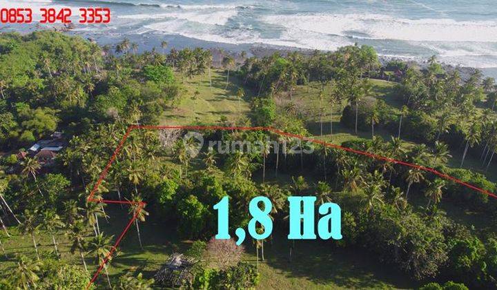 18,000 M2 Beachfront Garden Land For Investment in Bali 2