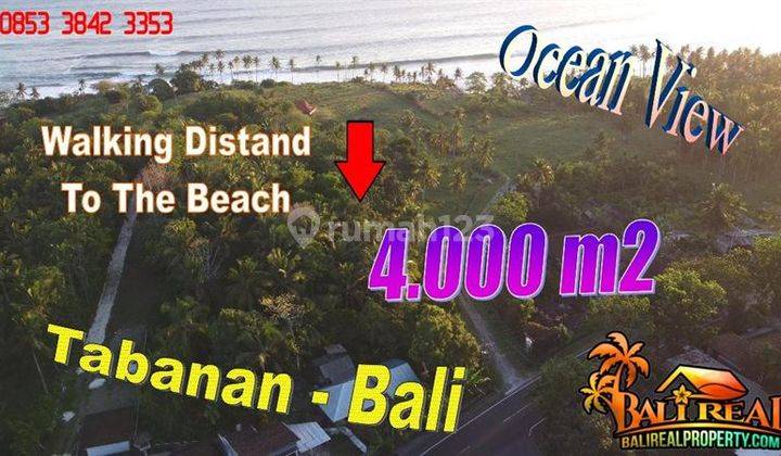 Land Ngantong 4,000 M2 Near the Beach on the Edge of the Provincial Road 1