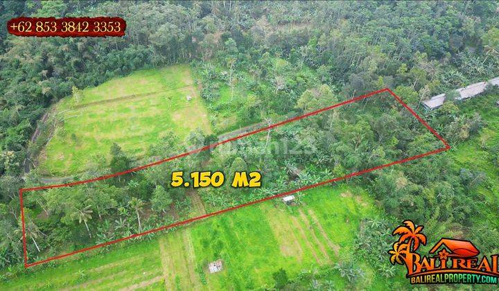 View Hutan Dan Gunung 5,150 M2 di Penebel Tabanan 2