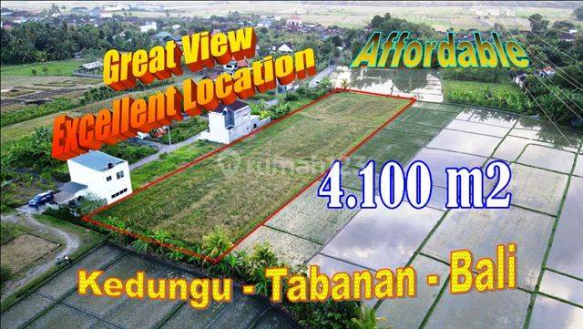 Rare, Cheap 41 Are View Rice Fields Villa Environment Kediri Area 1