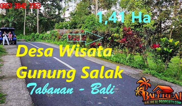 Pinggir Jalan Hotmix 141 Are Relatif Datar Berkontur Landai 1