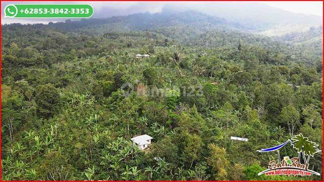 Strategic 4,600 M2 Mountain and Garden View in Pupuan Tabanan 2