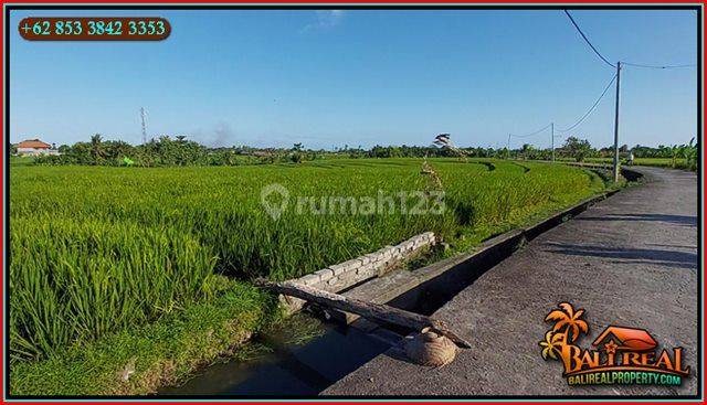 Strategis 52 Are Pinggir Jalan Dekat Wisata Tanah Lot di Kediri 2