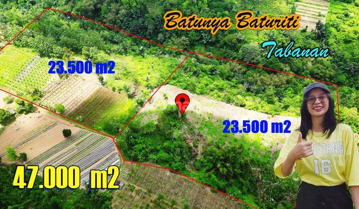 Tanah Kebun Siap Bangun 47,000 M2 Area Baturiti Tabanan 2