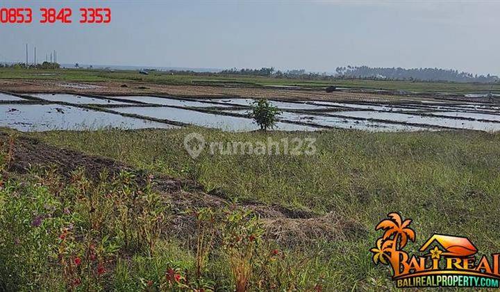 Akses Jalan Subak 4,000 M2 Dekat Hidden Beach di Kerambitan 2