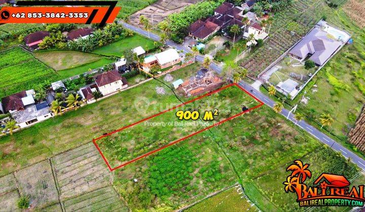 Pinggir Jalan Aspal 900 M2 Cocok Untuk Hunian Siap Bangun 2