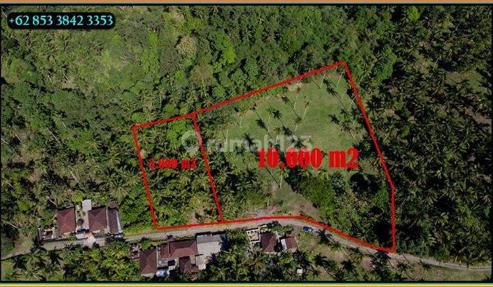 View Lembah 1 ha Dijual Murah dekat Pantai di Selemadeg Barat 2