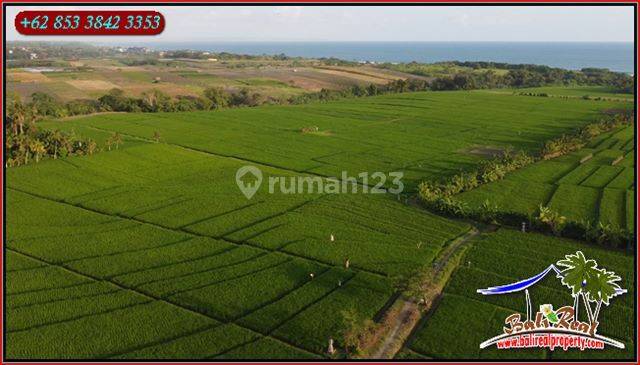 View Sawah, Laut Dan Gunung Dekat Pantai 6,000 M2 di Kerambitan 2