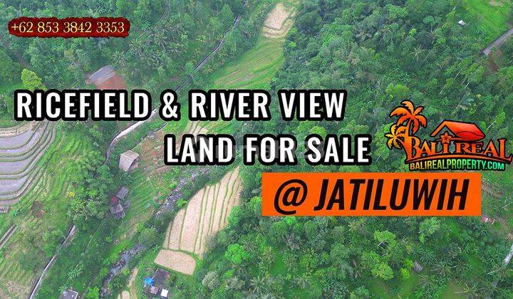 Dijual Lahan Kebun 60 Are Dekat Jatiluwih Rice Terrace 1