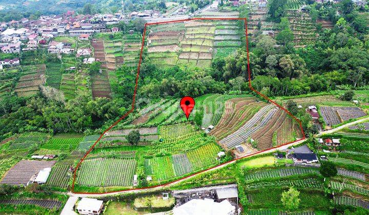 View Perkebunan, Gunung Dan Kota Denpasar 56,000 M2 di Baturiti 2