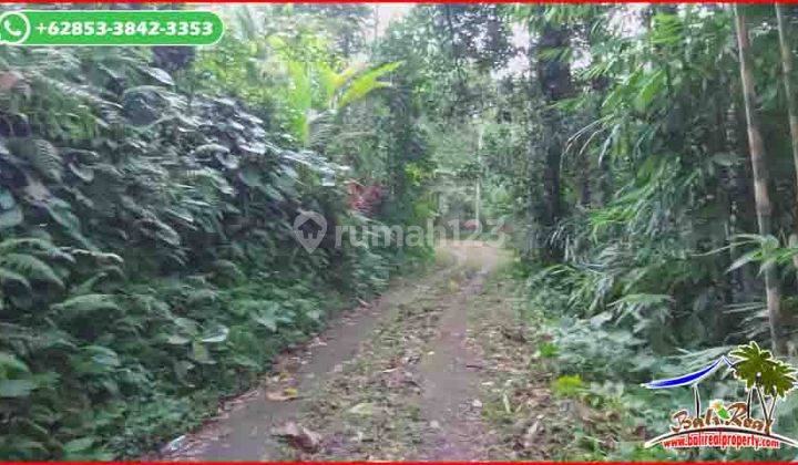 Air Terjun di Lokasi 2,600 M2 di Selemadeg Timur Tabanan 2