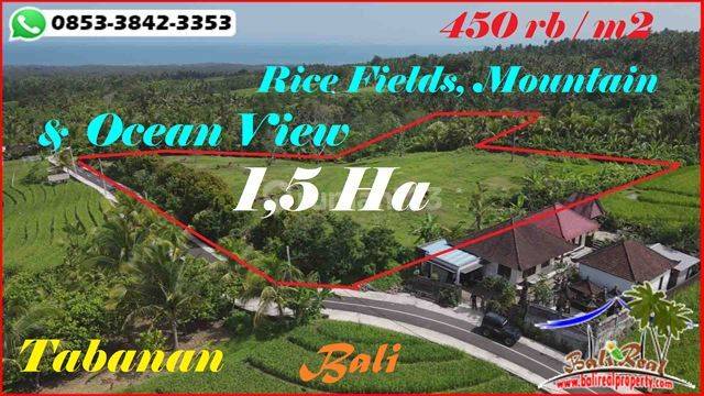 Lahan Kering 15.000 M2 Untuk Peluang Investasi di Bali 1