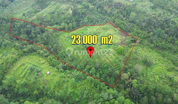 23,000 M2 Dijual Tanah Ngantong Pinggir Jalan Desa di Baturiti 2