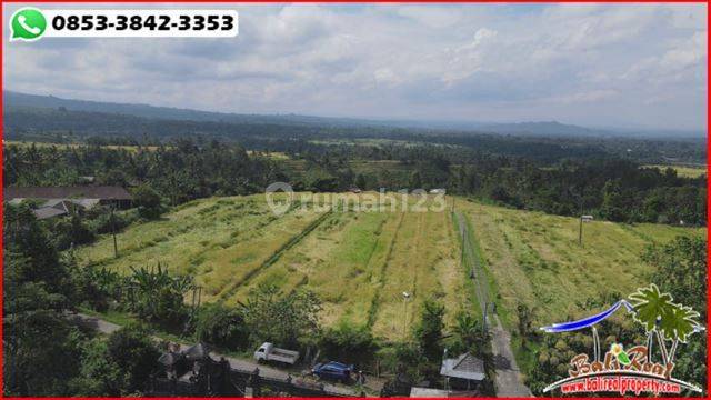 12.000 M2 Kontur Bagus Posisi Hook di Pinggir Jalan Penebel 2