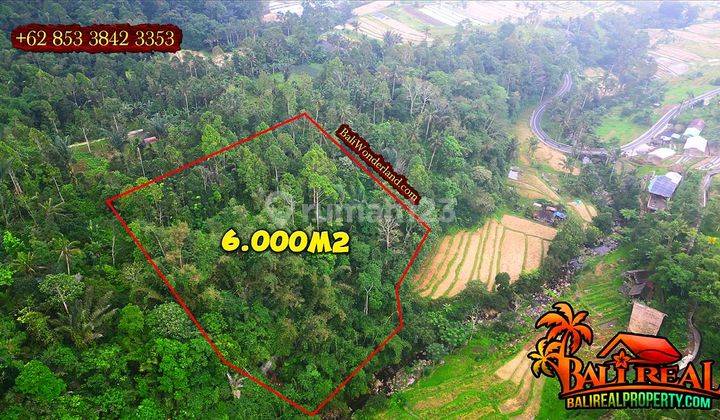 Dijual Lahan Kebun 60 Are Dekat Jatiluwih Rice Terrace 2