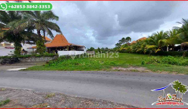 Sea, Rice Field and Mountain View 2,100 M2 in Kediri Tabanan 2