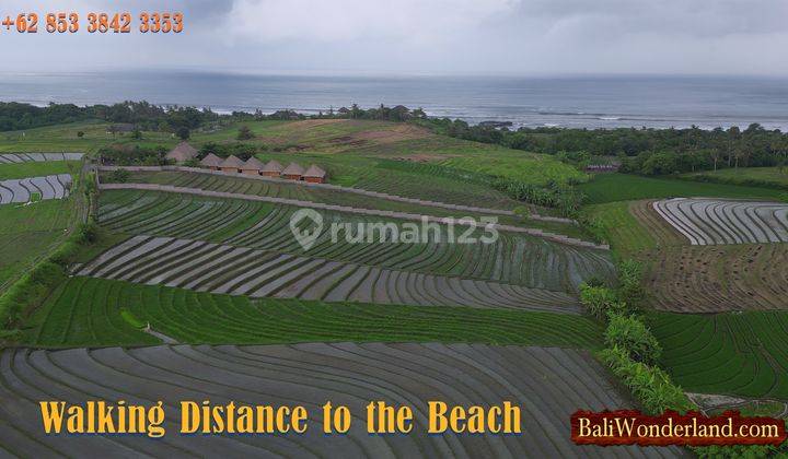 400 Meter Dari Pantai Tanah Murah Dijual di Selemadeg 2