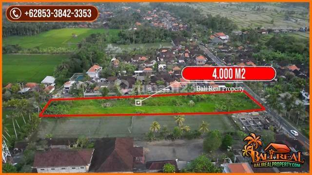 Pinggir Jalan Dengan View Sawah Dan Gunung 4,000 M2 di Sukawati 2