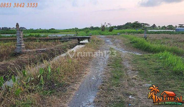 Tanah Kebun 900 M2 Dekat Pantai Yeh Gangga Cocok Untuk Villa 2