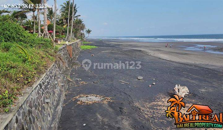 Tanah Tepi Pantai Beach Front 1,950 M2 di Kerambitan, Tabanan 2