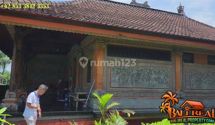 Strategis 45 Are Dekat Kota Pinggir Jalan Aspal 2