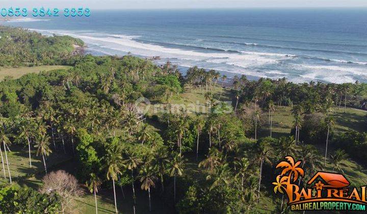 Tanah Kebun Dekat Pantai 18,000 M2 Untuk Investasi di Bali 2