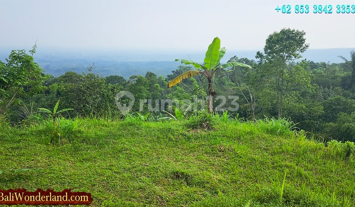 Strategis 230 are View Hutan, Gunung, Lembah dan Kota Denpasar 2