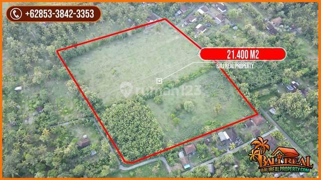 21,400 M2 Land For Sale Ready To Build Jembrana Area Bali 2