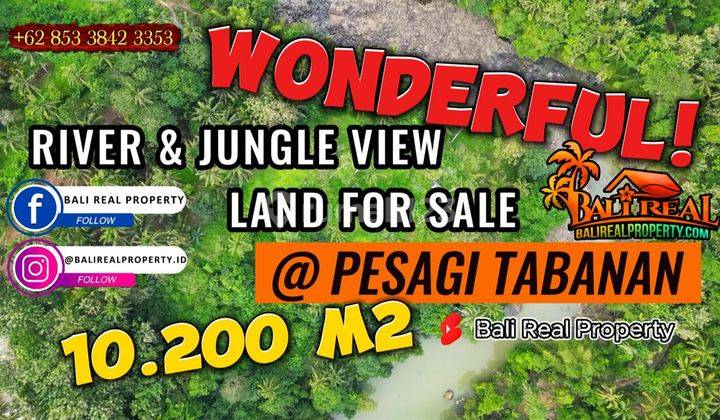 10,200 M2 Tanah Kebun Dijual Murah Akses Jalan Pribadi 1