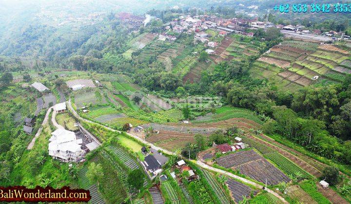 Strategis 560 are View Perkebunan, Gunung dan Kota Denpasar 2