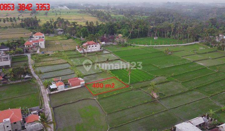 Luasan Kecil Untuk Villa Pribadi 4 Are Area Kemenuh 2