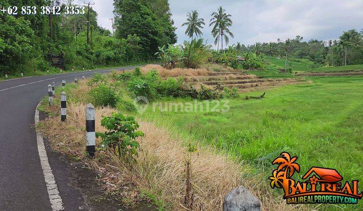 33.7 Are Lahan Kering Bekas Sawah Pinggir Jalan di Penebel 2