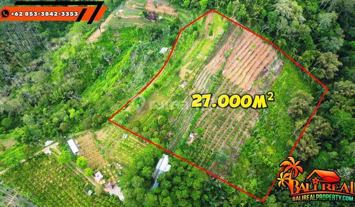 Dijual Tanah Kebun 27,000 M2 di Baturiti Untuk Investasi 2