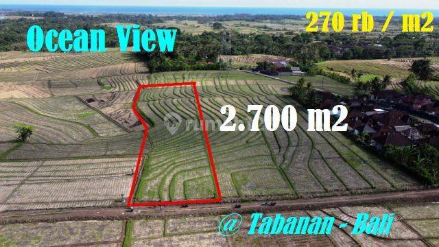 Suitable for Commercial Villa 2,700 M2 East Selemadeg Area 1