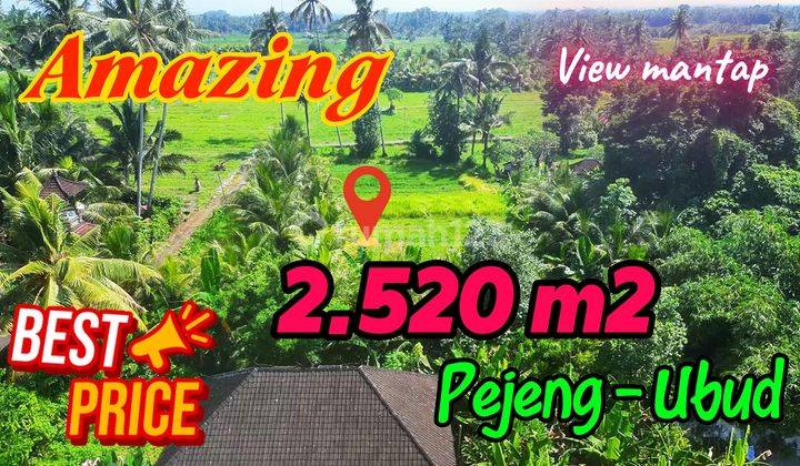 View Hutan dan sawah 2,520 m2 di Tampaksiring Ubud 1