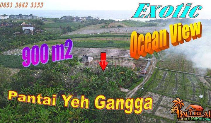 Tanah Kebun 900 M2 Dekat Pantai Yeh Gangga Cocok Untuk Villa 1