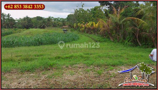 View Sawah, Sungai Dan Gunung 6,800 M2 di Kerambitan Tabanan 2