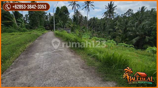 22 Are Marga Tabanan 100 Mtr dari Jalan Raya 2