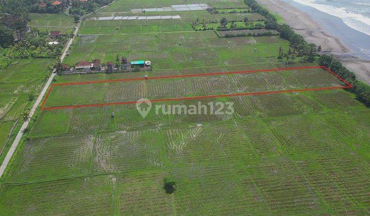Tanah Tepi Pantai Luas 75 Are Area Madewi Jembrana 2