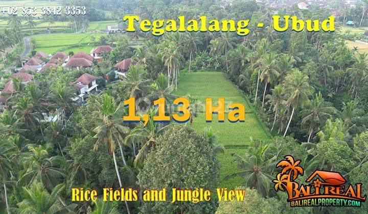 11,300 M2 Irregular Land Shape Near Central Ubud 2