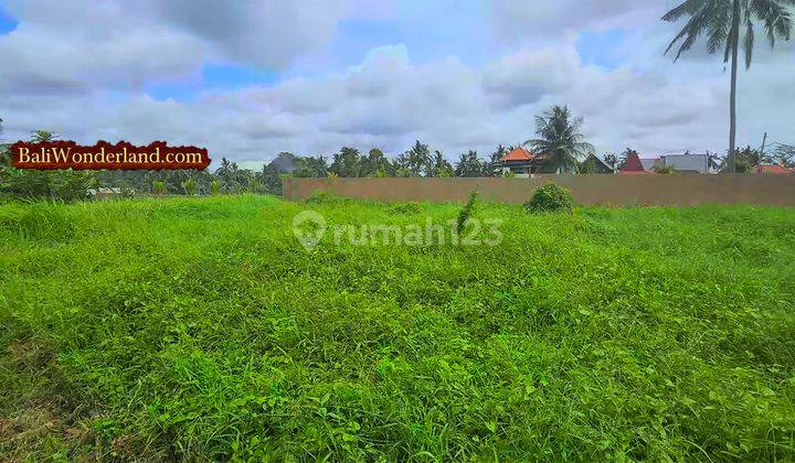 Akses Pribadi 910 m2 Potensial untuk Villa Komersil 2