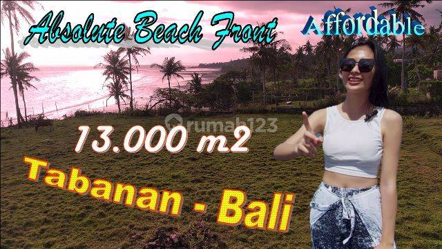 13,000 M2 Beachfront Land in West Selemadeg Tabanan 1