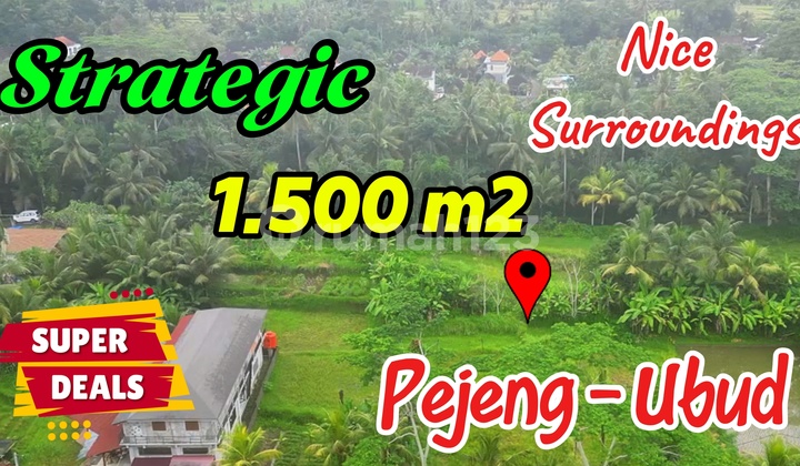 Dekat Sentral Ubud 1,500 m2 Lahan Kering Siap Bangun 1