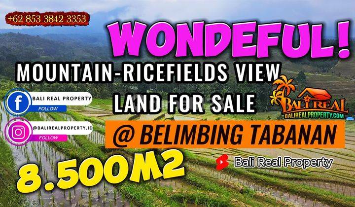 View of Rice Fields, Mountains and Gardens 8,500 M2 in Pupuan, Tabanan 1