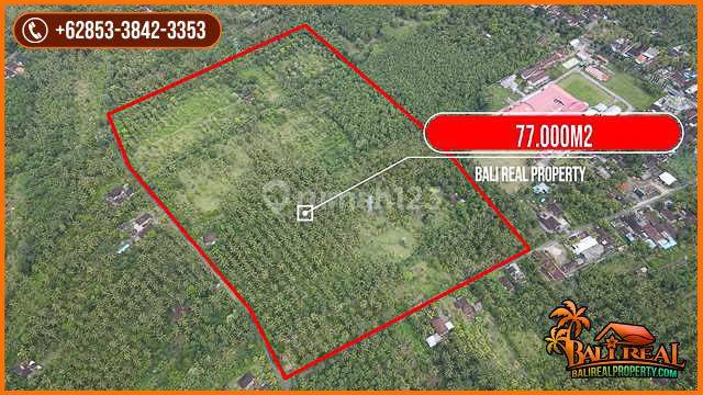 82.300 M2 Lahan Dijual di Jembrana Untuk Peluang Investasi 2