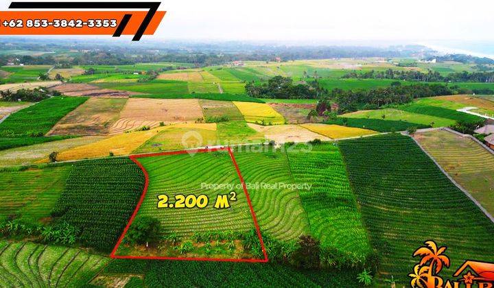 2,200 M2 Semi Kotak Untuk Villa 2 Menit Dari Pantai Kelecung 2