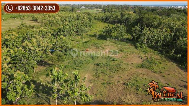 Dijual Tanah Kebun Datar Pinggir Jalan 27.700 M2 di Jembrana 2