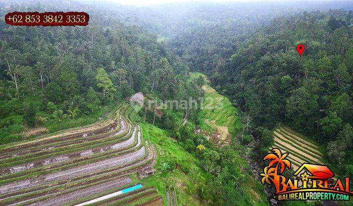 Strategis 60 Are View Gunung, Sawah Dan Sungai Area Penebel 2