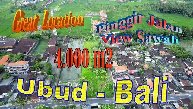 Pinggir Jalan Dengan View Sawah Dan Gunung 4,000 M2 di Sukawati 1